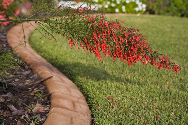 Brick Edging in San Rafael