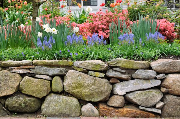 Stone Wall Hardscaping in San Rafael